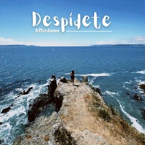 Despídete