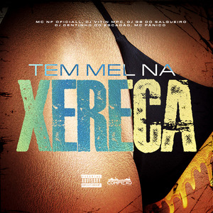 Tem Mel na Xereca