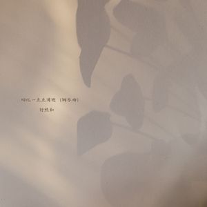 回忆一点点消逝 (钢琴曲)