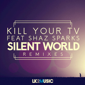 Silent World (D-Stroyer Remix)