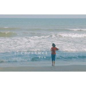 为一只永远在飞翔的鸟