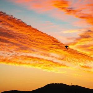 请珍惜无条件陪你的人