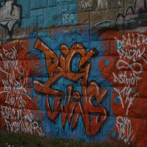 Vienna to New York (feat. Igor Admc , Greenfist & LXO) (Single)