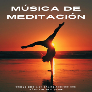 Movimiento Tranquilizador