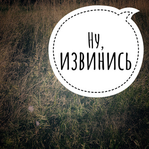 Ну, извинись