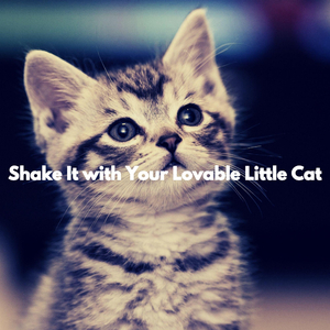 Dream Like Blissful Weeks