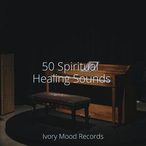 Echoes of the Sea's Sighs