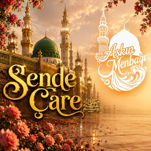 Sende Çare