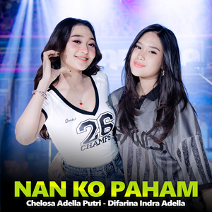 Nan Ko Paham