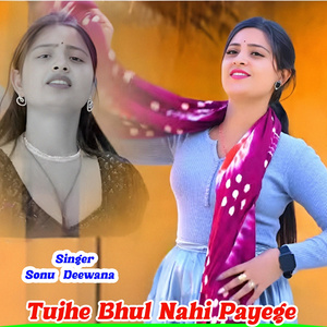 Tujhe Bhul Nahi Payenge