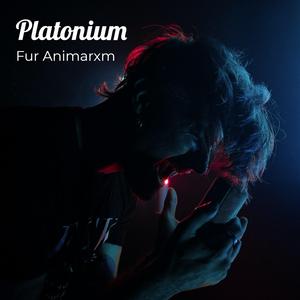 Platonium