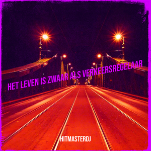 Het Leven Is Zwaar Als Verkeersregelaar