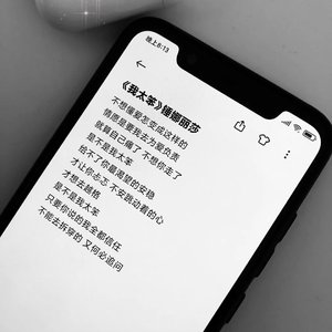 我太笨（翻自 锤娜丽莎）