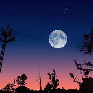 返航星球（Prod.Eee.T）