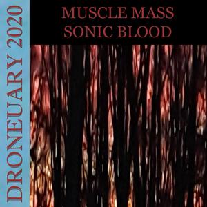 Sonic Blood