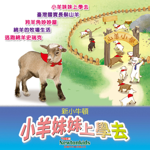 绵羊的牧场生活