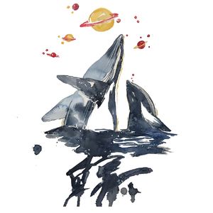 鲸梦语