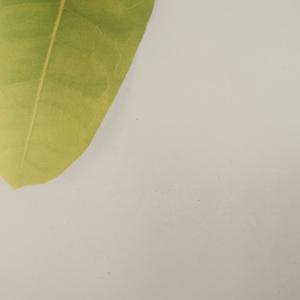 你来与不来我都在等你