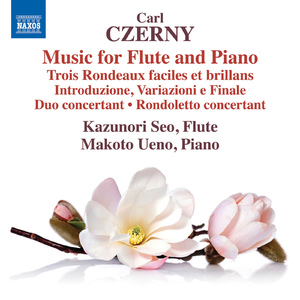 Duo concertant in G Major, Op. 129:III. Andantino grazioso