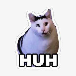 Huh Cat