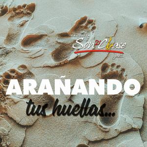 Arañando tus Huellas