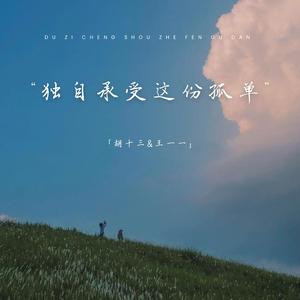 独自承受这份孤单 (深情女生版)