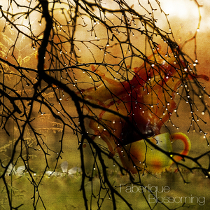 Blossoming (Original Mix)