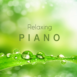 움직이는 꽃 (피아노) (새소리 ASMR)