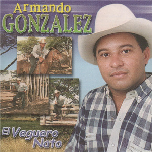 Caballo Bayo Naranjo