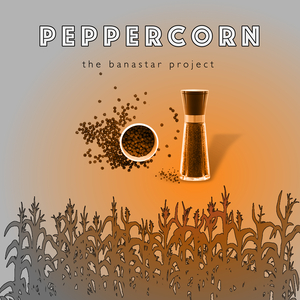 Peppercorn