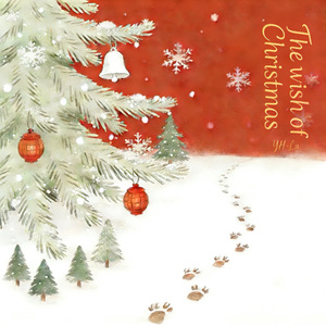 The wish of Christmas （圣诞） 伴奏