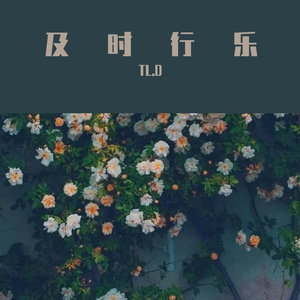 TL.D-及时行乐.remix_2_1（TL.D remix）