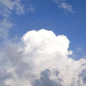 鲜花，总盛开在无人之地