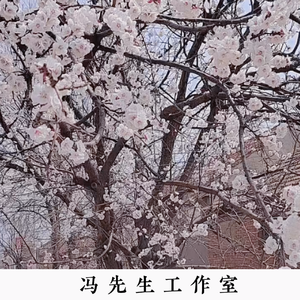 四块五(1)