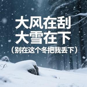 大风在刮大雪在下 (别在这个冬把我丢下) (Remix)