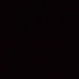 白山茶 吉他男生版