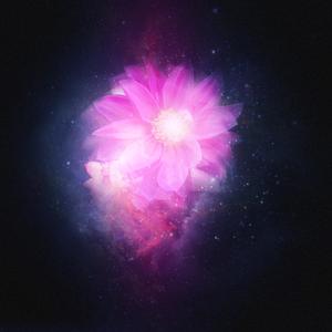ymm
