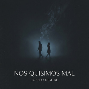 Nos Quisimos Mal
