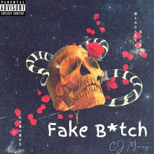 Fake Bitch