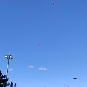 内向的“世界”