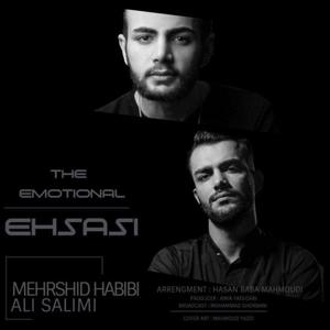 Ehsasi (feat. Ali Salimi)