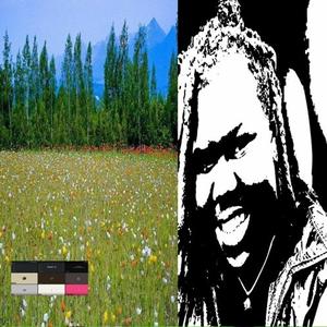 MONEY BABY MONEY GANG