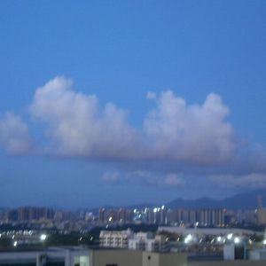 will li-真没睡（lapulasihan remix）