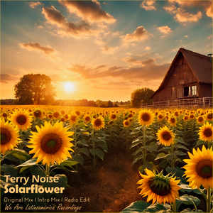 Solarflower (Original Mix)
