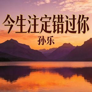 今生注定错过你