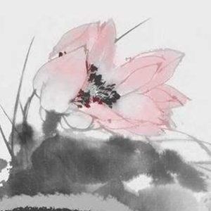 会呼吸的痛 片段（cover 王琪玮）