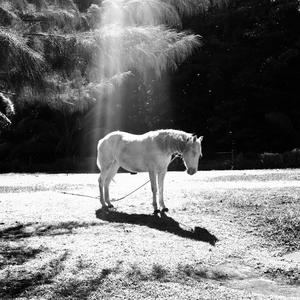 Love Is Always a Mess