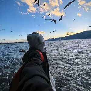 人海寻你