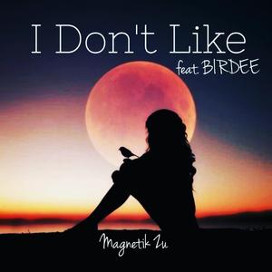 I Don't Like (feat. Birdee)