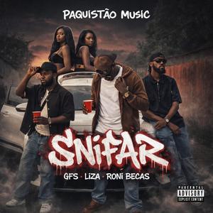 Paquistão music - Snifar